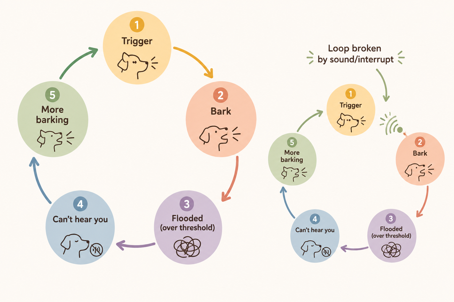Diagram showing the barking loop — trigger, bark, flooded, can't hear you, more barking — and how an interrupt breaks the cycle
